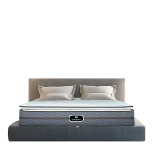 Simmons Beautyrest Reef Water Supreme