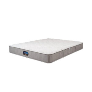 Simmons-Hasu-Mattress